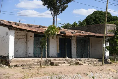 DSC_2628 (Large).JPG